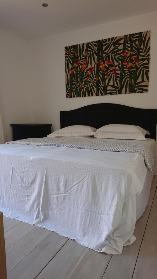 Surf Lookout - King Size En-Suite With Sea Views New Quay Zewnętrze zdjęcie